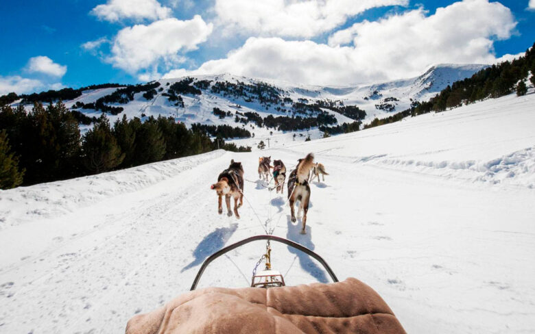 Actiivdades de nieve