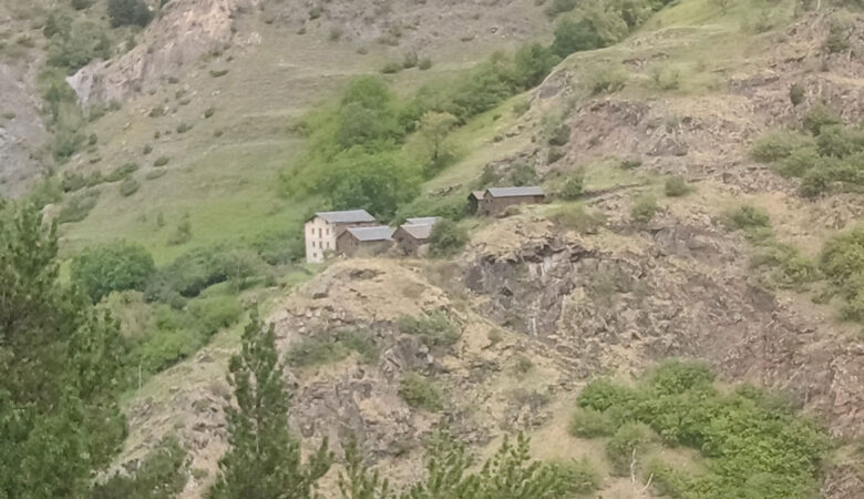 senderismo con niños